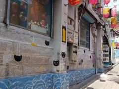 -猫咪博物馆(顶澳仔猫街店)