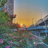 出片率100分的日系取景地