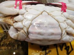 -老虎滩船说·海胆水饺·大连海鲜(老虎滩店)