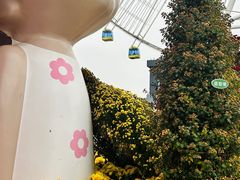 -南昌之星摩天轮