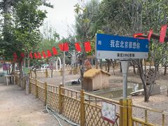 -1982农场