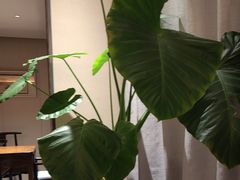 -羊门客在·烤盐池滩羊·川菜