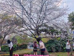 -堤角公园