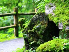 -西岭雪山大飞水景区