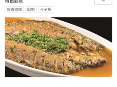 -三强鸽子(中原路店)