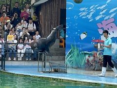 -杭州少年儿童公园