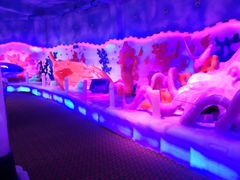 -芜湖新华联大白鲸海洋公园