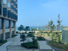 -金沙滩喜来登度假酒店-雅日本餐厅