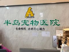 -半岛宠物医院24小时(科华中路店)