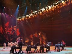 -珠海横琴长隆《卡卡虎奇遇记》