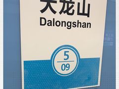 -大龙山(地铁站)