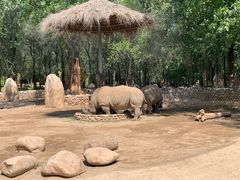 -北京野生动物园