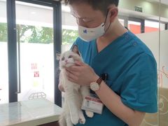 -艾贝尔宠物诊疗