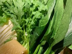 青菜小合盘-大渔小鲜火锅店
