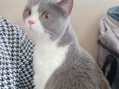 -苗品记茶馆(IFS国金中心店)