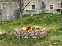 -西安秦岭野生动物园