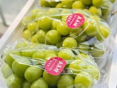 -马陆小张葡萄园农家乐