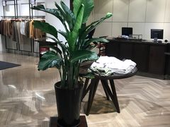 -Massimo Dutti(合生汇店)