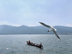 -海埂大坝