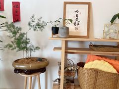 -团子君寿司·茶