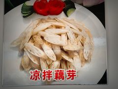 -白洋淀景区