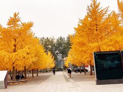 -北京奥林匹克公园