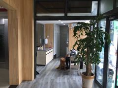 -爱侣宠医·鹦鹉专科·小型哺乳类·异宠专科(灵石路店)