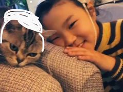 -吉丁鸟咖·异宠·寄养