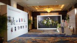 -三色锦婚礼定制