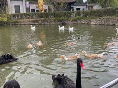 -张公山寨景区