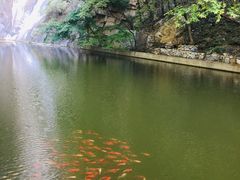 -北京上方山国家森林公园