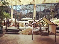 -杭州开元森泊度假乐园