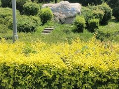 -莫子山公园