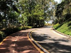 -梧桐山风景名胜区