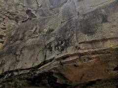 -海南热带野生动植物园