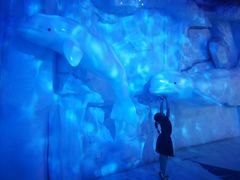 -芜湖新华联大白鲸海洋公园