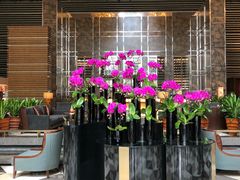 -天津君隆威斯汀酒店