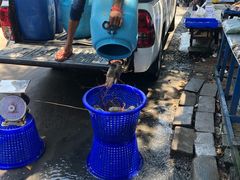 -班赞海鲜市场