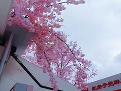 -首开·龙湖成都西宸天街