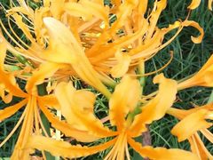 -白塘生态植物园