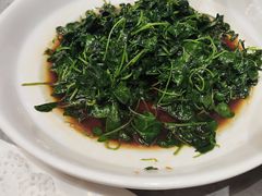 草头-老绍兴养和饭店(向阳不夜城店)