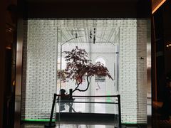 -一麦·龙岛(上海青浦店)