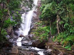 -姑婆山旅游区