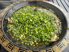 -马村鱼头