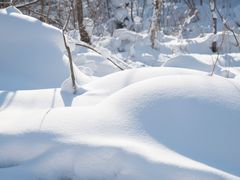 -雪谷
