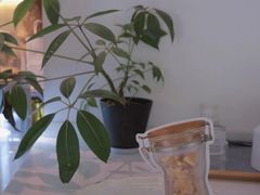 -COTTON CAFE(德信·中外公寓店)