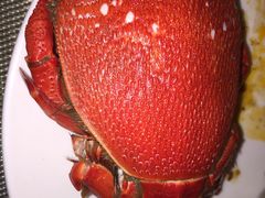 -富力希尔顿酒店·地阔自助餐厅