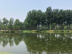 -东郊湿地公园