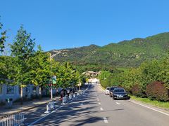 -北京西山国家森林公园