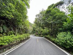 -广州市流溪河国家森林公园